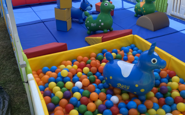 Indoor play area with colorful ball pit and soft toys.